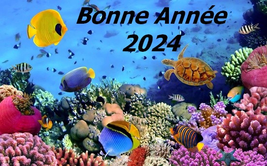 Bonne Année