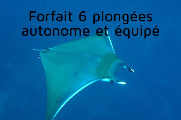 Forfait 6 plongées (autonome et équipé)