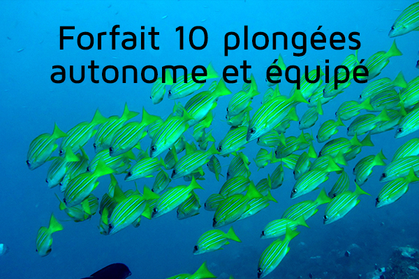 Forfait 10 plongées (autonome et équipé)